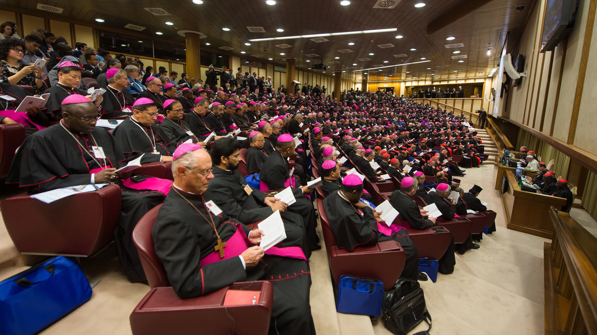 Le document des Pères synodaux pourrait revêtir un caractère magistériel, si le pape le décide. | © Mazur/catholicnews.org.uk/CC BY-NC-SA 2.0