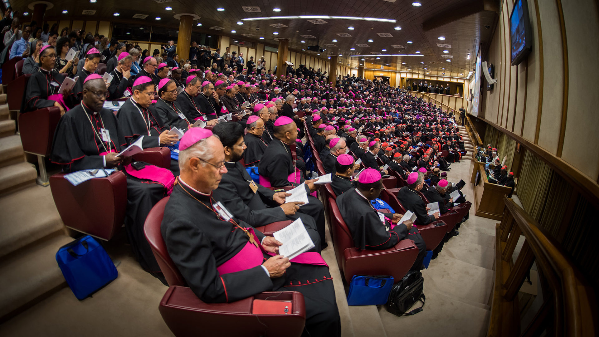 Lors du synode, les jeunes ont été appelés à être des protagonistes de l'évangélisation	  | © flickr/catholicism/CC BY-NC-SA 2.0