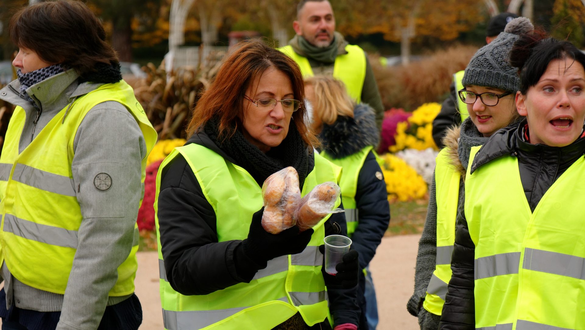 Manifestation du mouvement des gilets jaunes | wikimedia commons Thomas Besson CC-BY-4.0