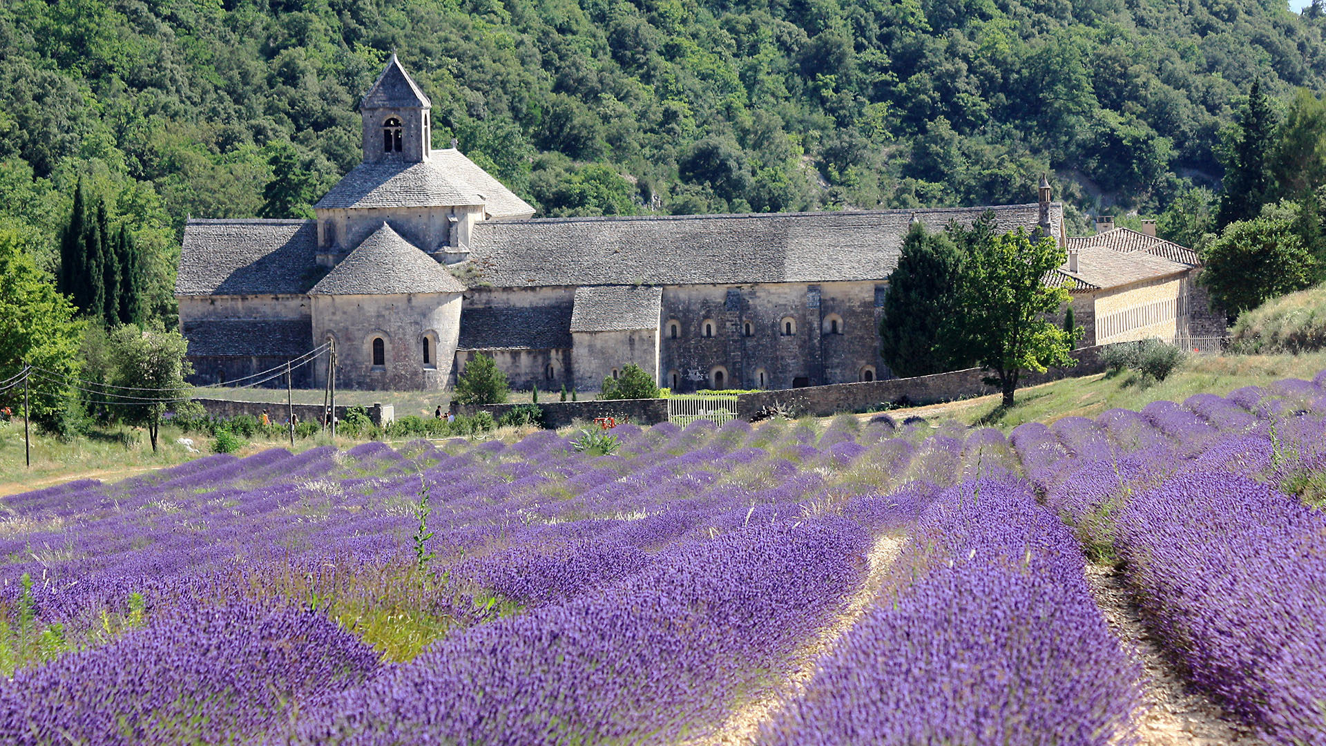 L'abbaye de Sénanque, en Provence, dans le sud de la France. | © Flickr/
Andrea Schaffer
/CC BY 2.0