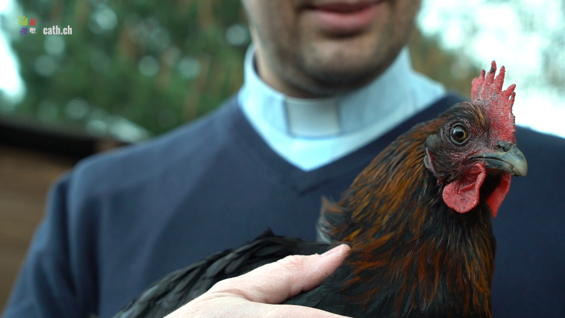 Les premières poules d'Antoine Dubosson lui ont été offertes par des paroissiens. | © Christine Mo Costabella