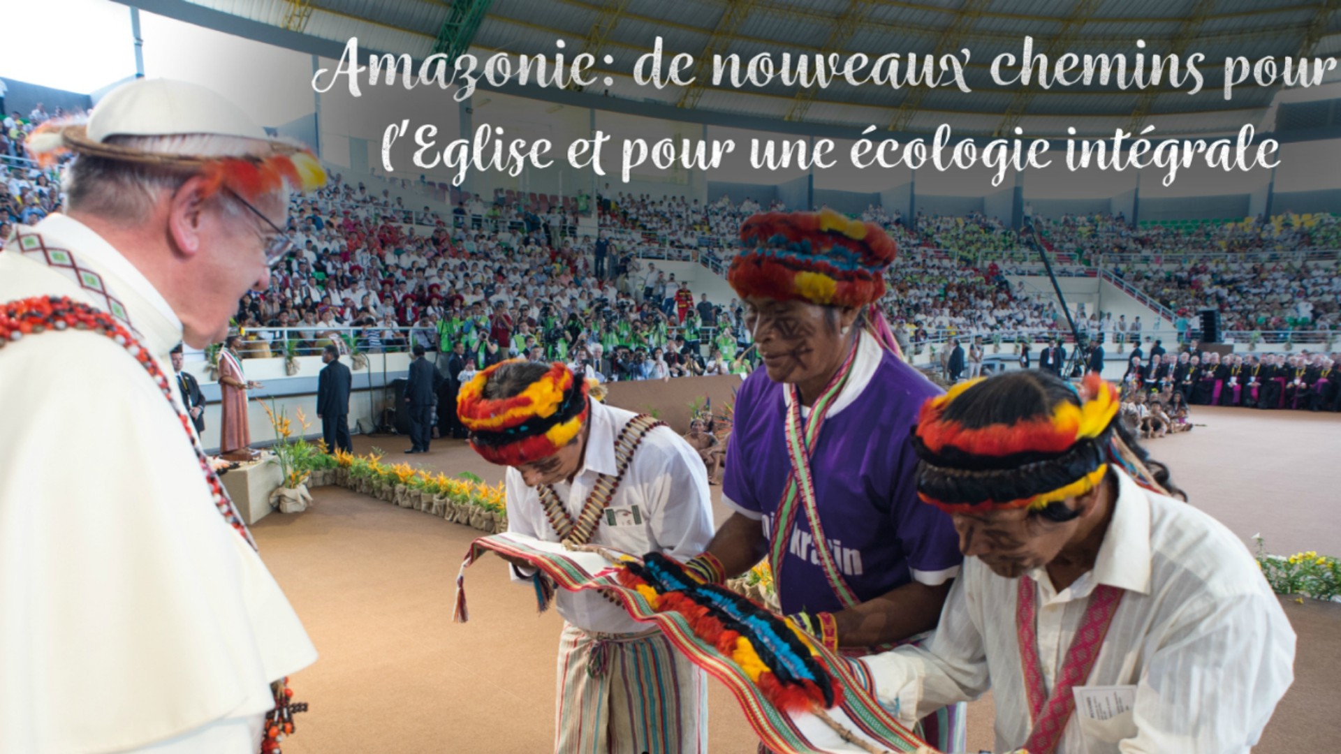 Brésil: Le Synode pour l'Amazonie d'octobre prochain va-t ...