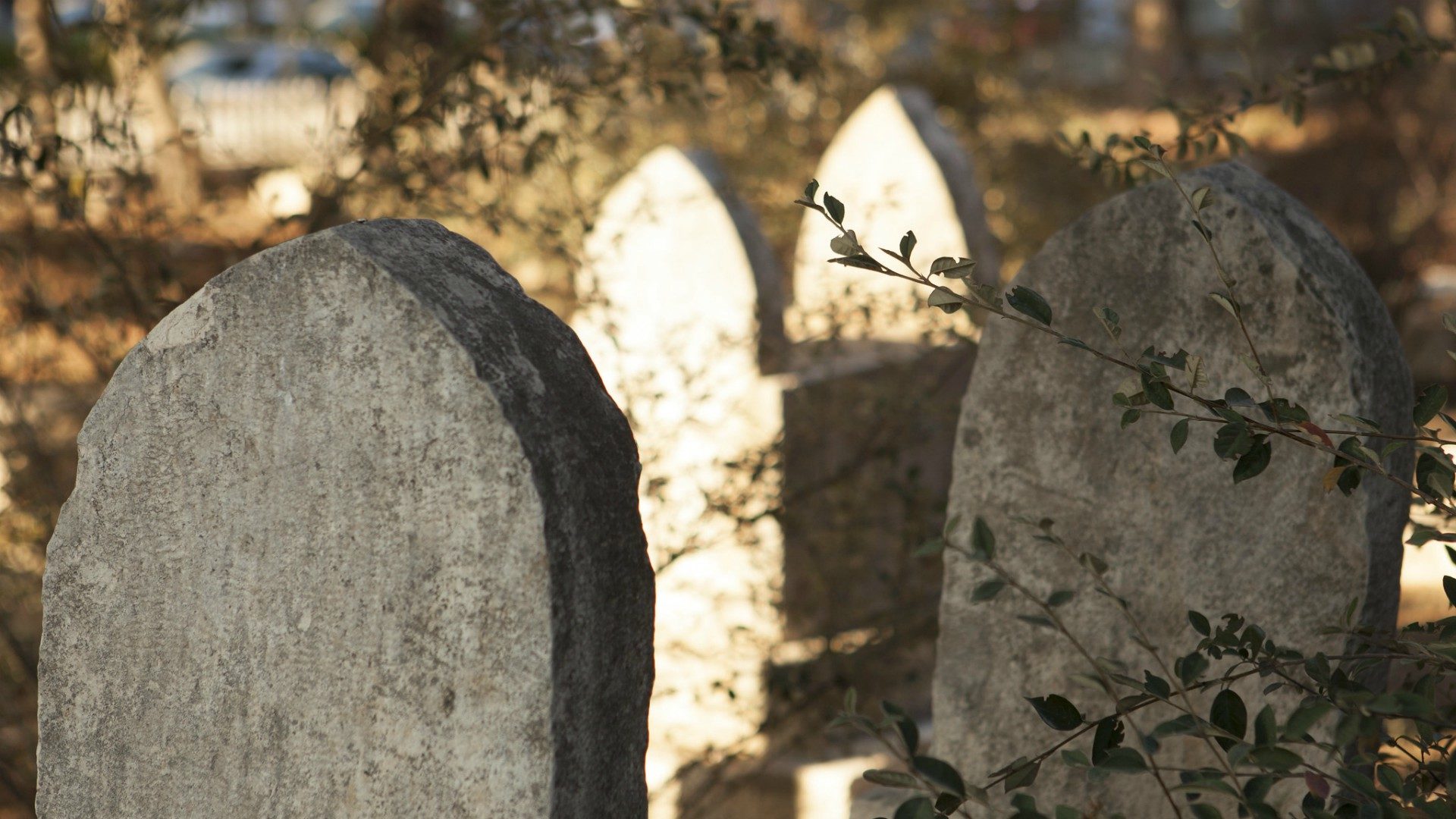 Un cimetière musulman verra le jour à Wünnewil-Flamatt | © zeevveez/Flickr/CC BY 2.0