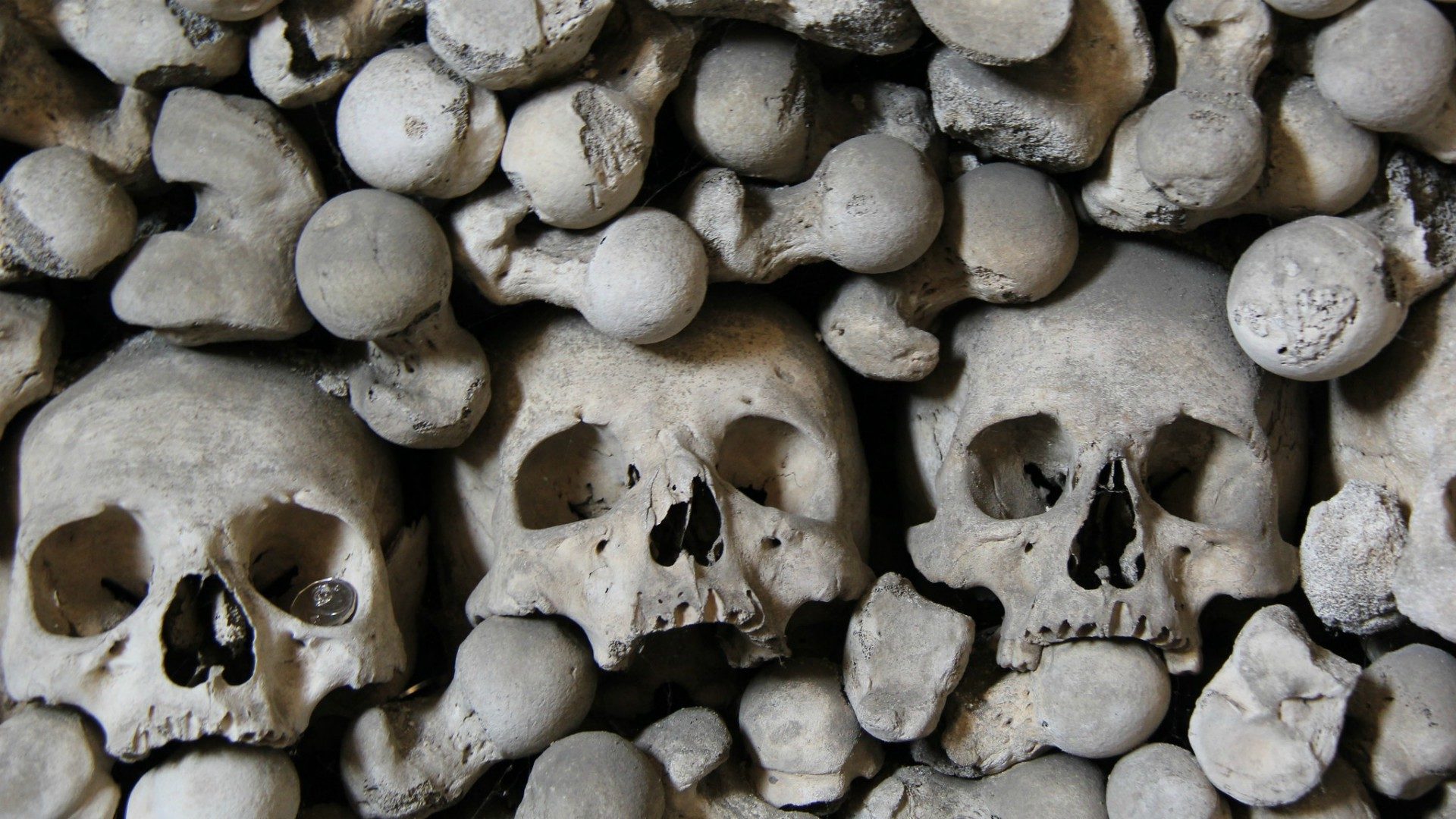 Deux ossuaires ont été retrouvés sur le terrain du Collège teutonique (photo d'illustration) | © Erin Brown-John/Flickr/CC BY-NC 2.0