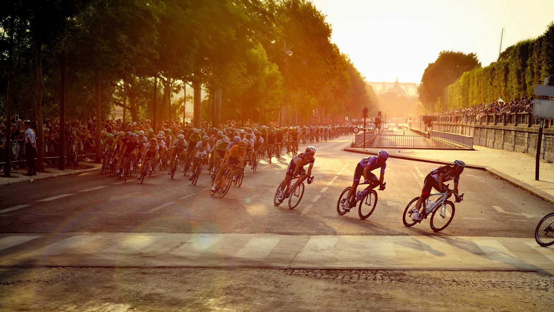 Comme les coureurs du Tour de France, nous sommes parfois "le nez dans le guidon" (Pixabay.com)