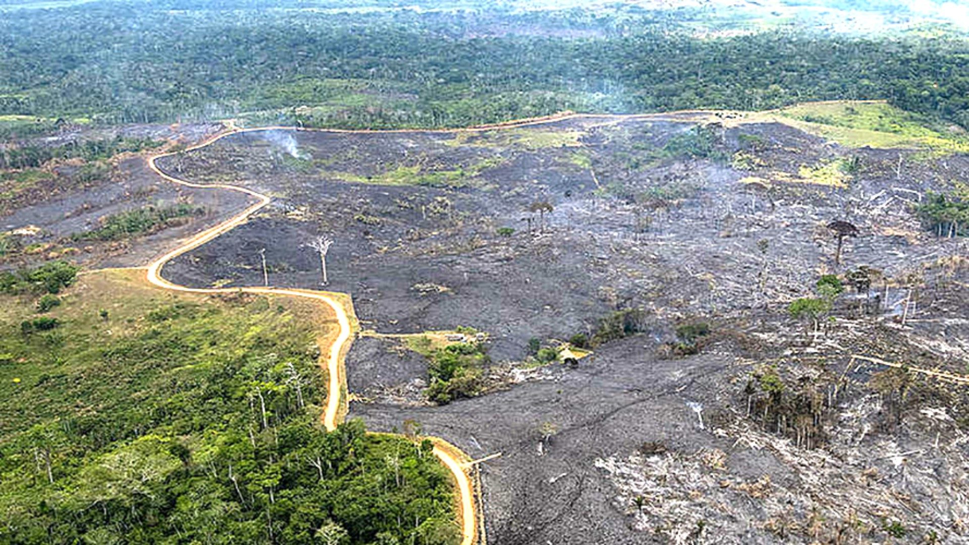 Les incendies ravagent l'Amazonie également en Bolivie| © Daniel Beltra Greenpeace