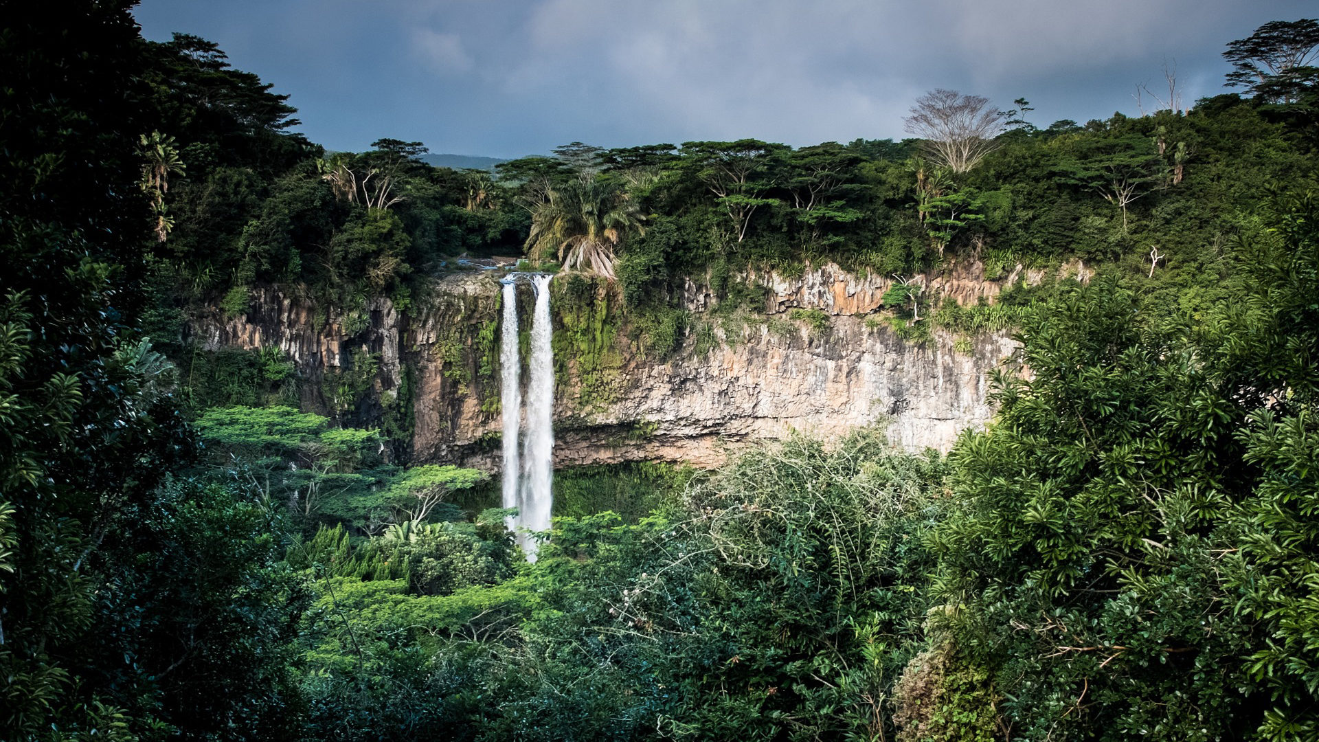 L'Amazonie, une région marquée par la “forte pression des grands intérêts économiques” | © Pixabay