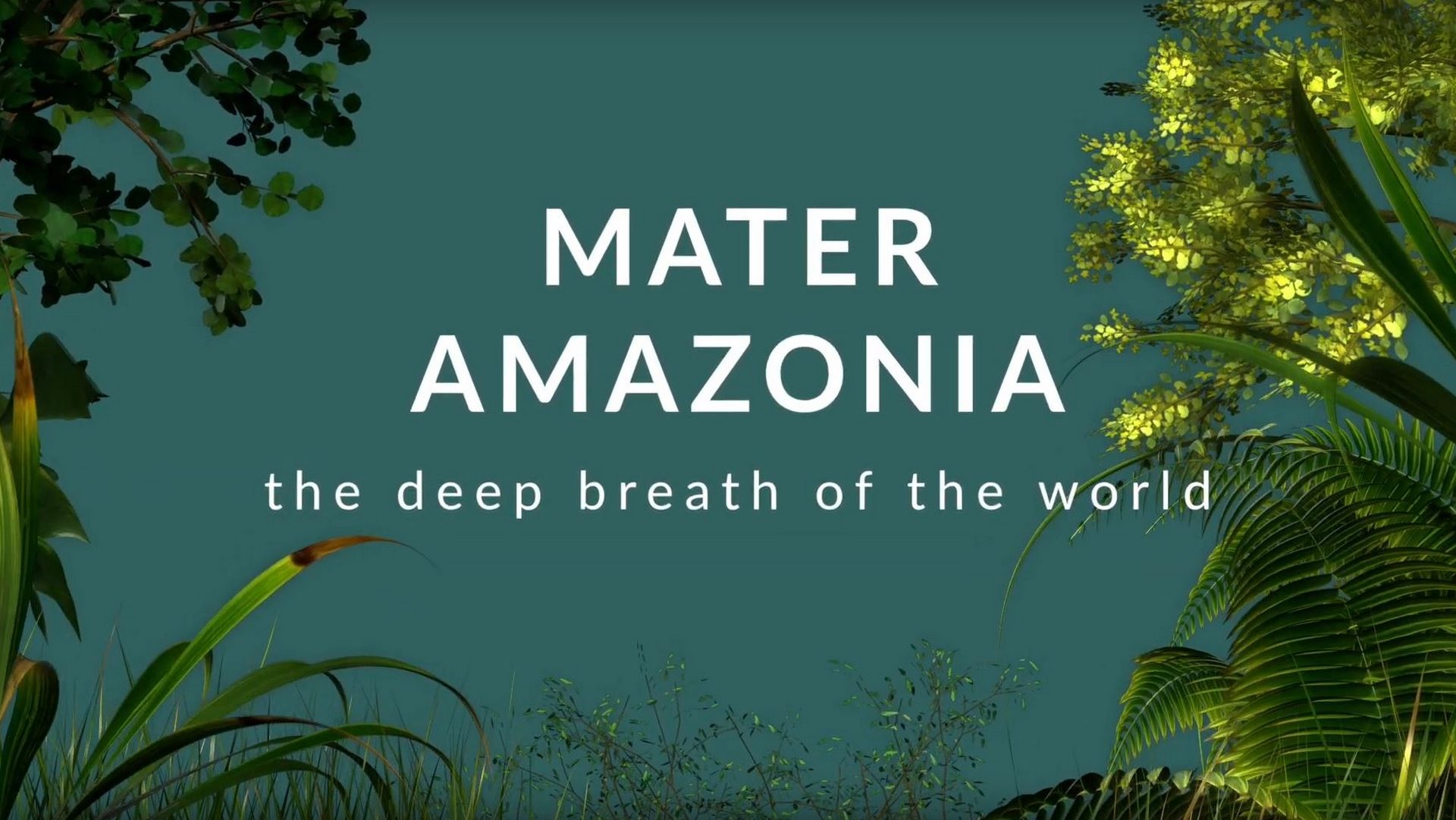 'Mère Amazonie. Le souffle profond du monde' exposition aux Musées du Vatican 