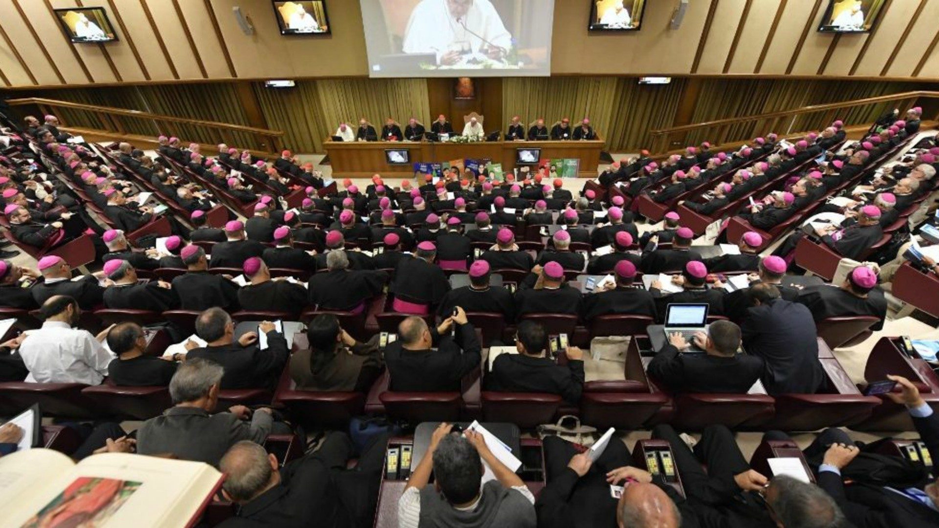 Pour les pères synodaux, une conversion à la sainteté est nécessaire pour les vocations en Amazonie | © Vatican Media