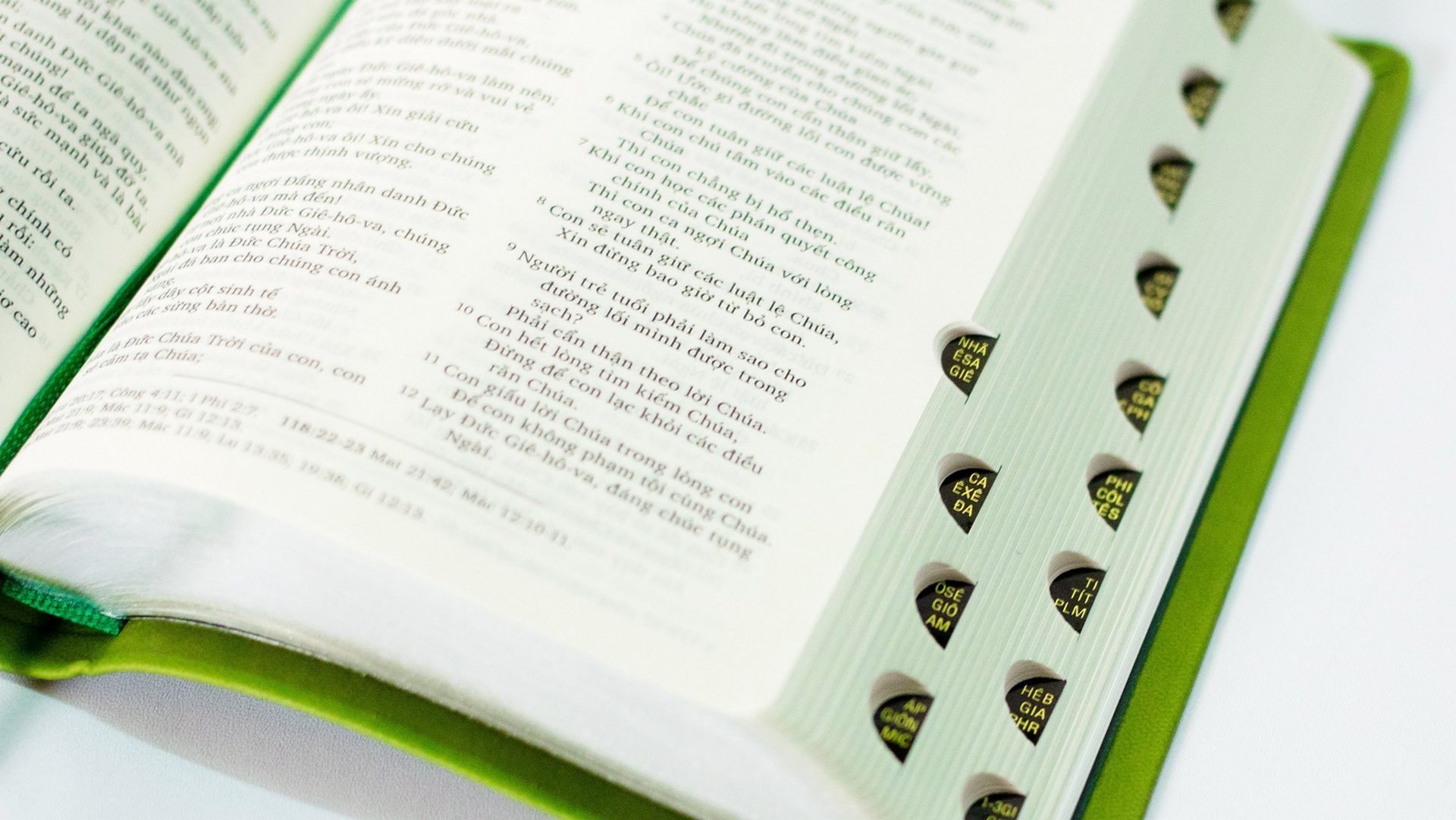 La Bible en vietnamien | © biblevietnam.org