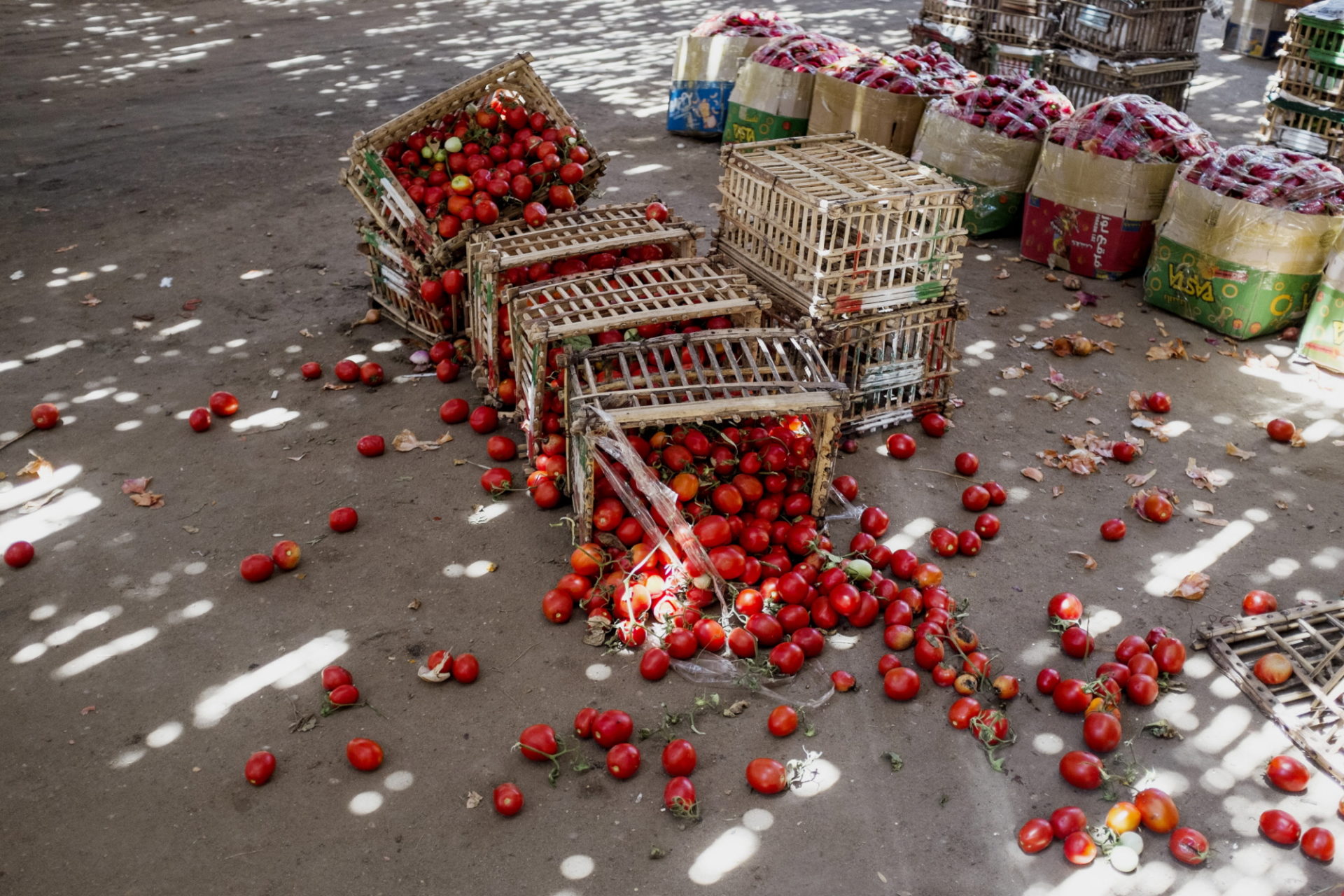 Le pape François dénonce le gaspillage alimentaire | ©  FAO