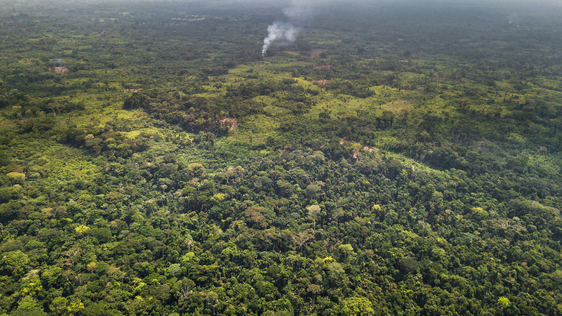 La RDC, le Brésil et l'Indonésie, concentrent 60% de la forêt tropicale de la planète | © Flickr/Axel Fassio/CIFOR/CC BY-NC-ND 2.0
