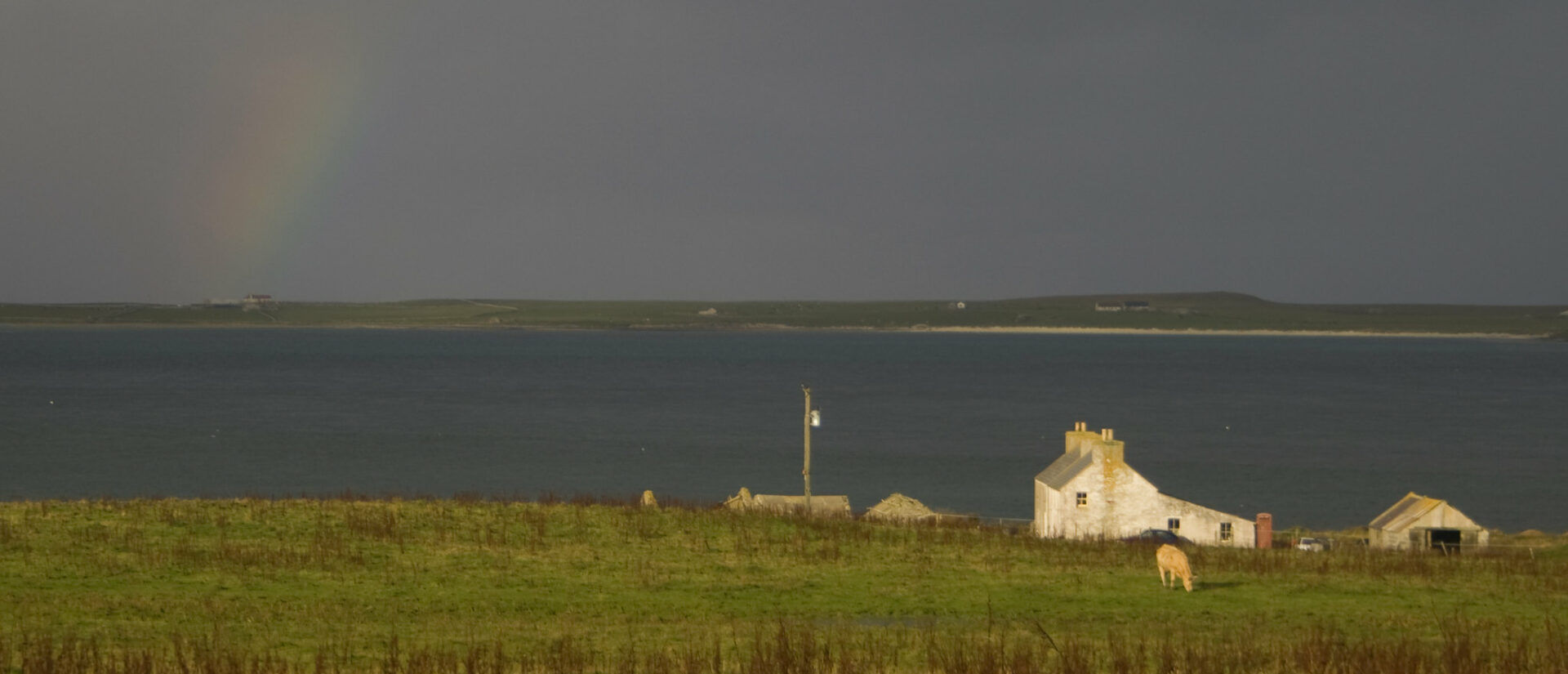 Des Ermites Noirs vivent sur l'île de Westray, au nord de l'Ecosse | © Odd Wellies/Flickr/CC BY 2.0