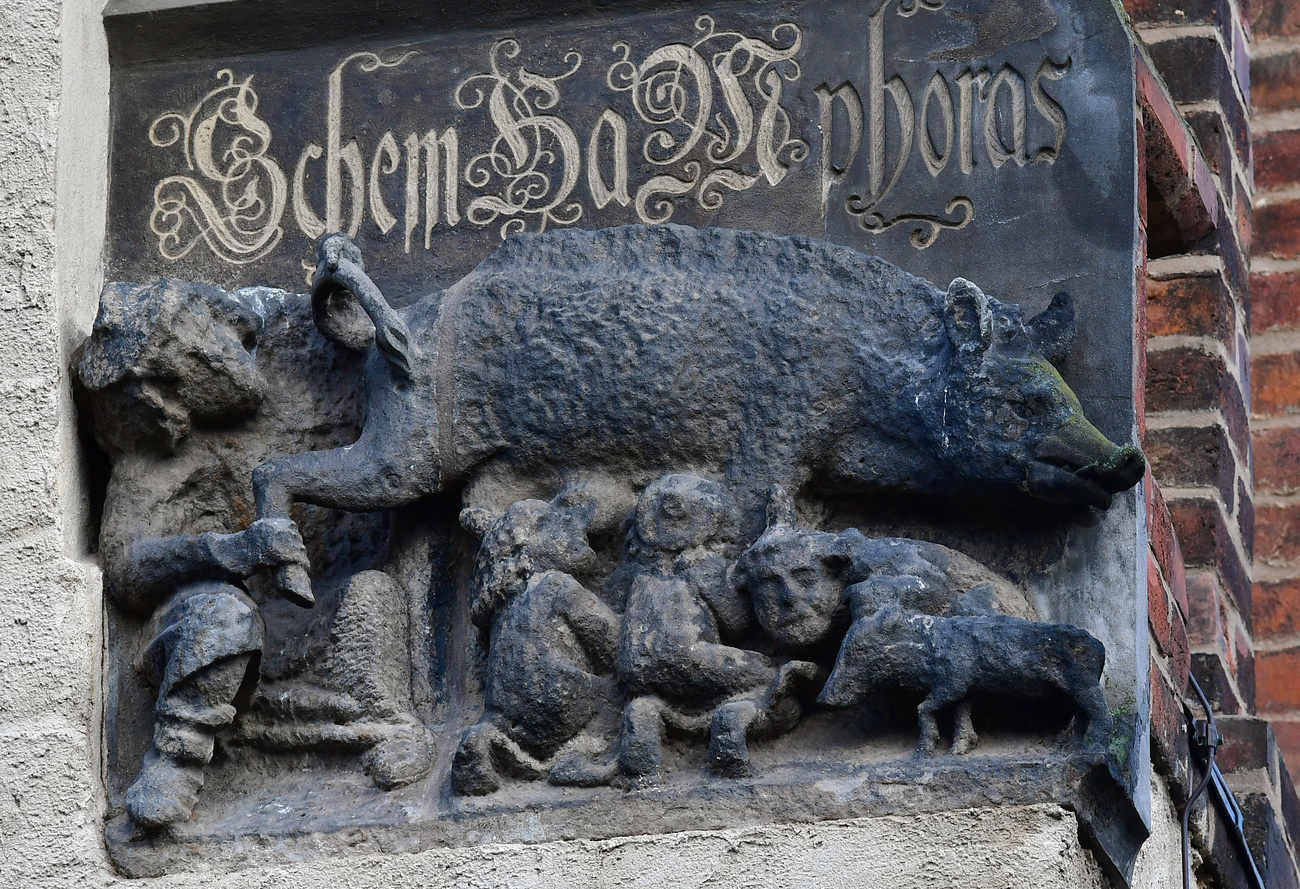 Le bas-relief médiéval appelé "Judensau" (truie juive), sur le mur extérieur de l'église  de Sainte-Marie à Wittenberg, ne devra pas être supprimé. | © KEYSTONE/DPA/Hendrik Schmidt