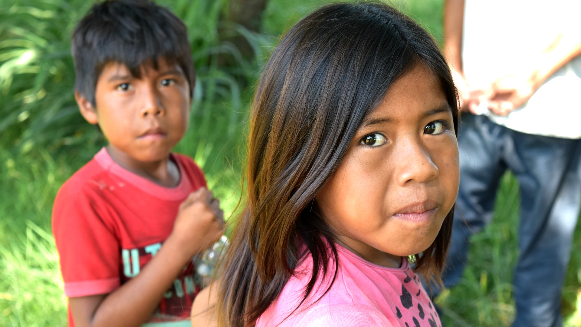 La jeunesse indigène a besoin d'une Eglise 'au goût d'Amazonie'  | © Jacques Berset