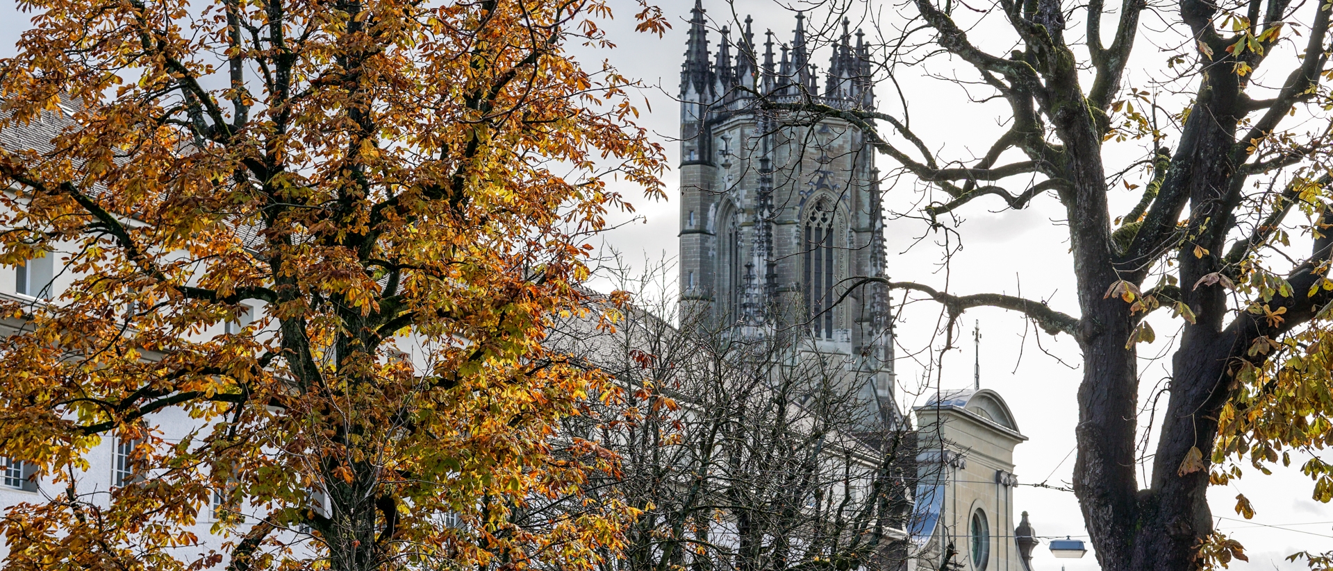 La cathédrale St-Nicolas de Fribourg | © Maurice Page