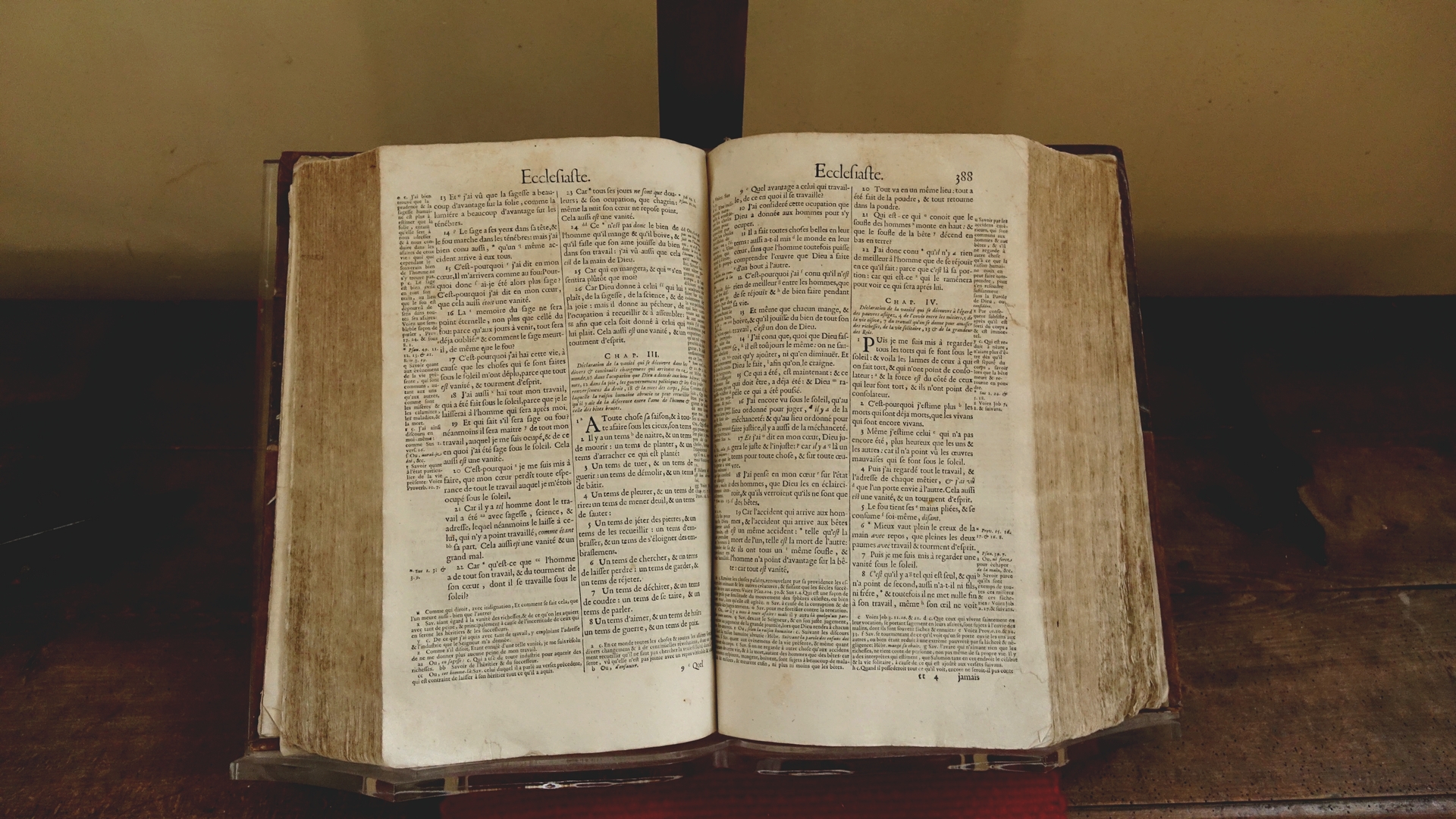 "Vanité des vanités", dit le livre de l'Ecclésiaste dans le Bible | © Maurice Page 