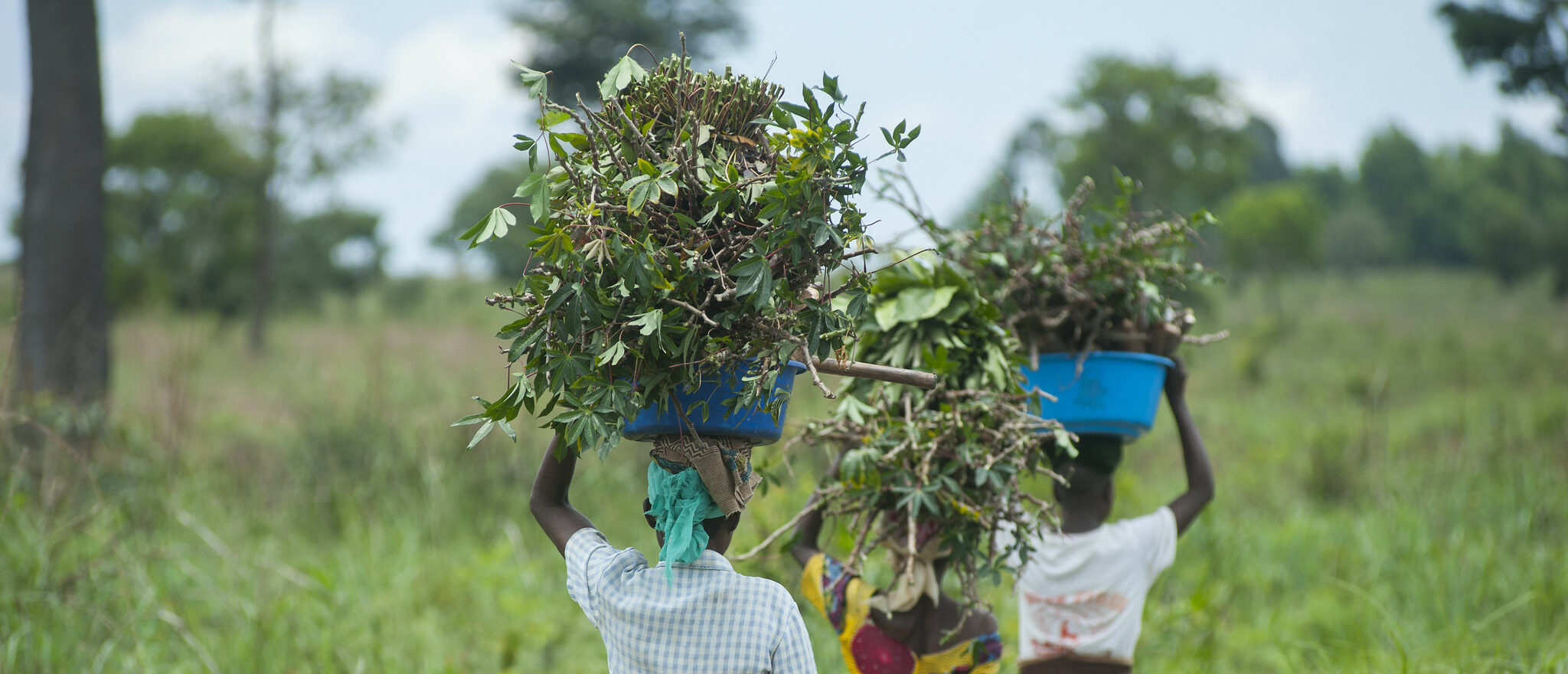 Pour les locuteurs de tshiluba, une langue de la République démocratique du Congo, la prononciation française est compliquée | photo illustrative © EU Civil Protection and Humanitarian Aid/Flickr/CC BY-NC-ND 2.0