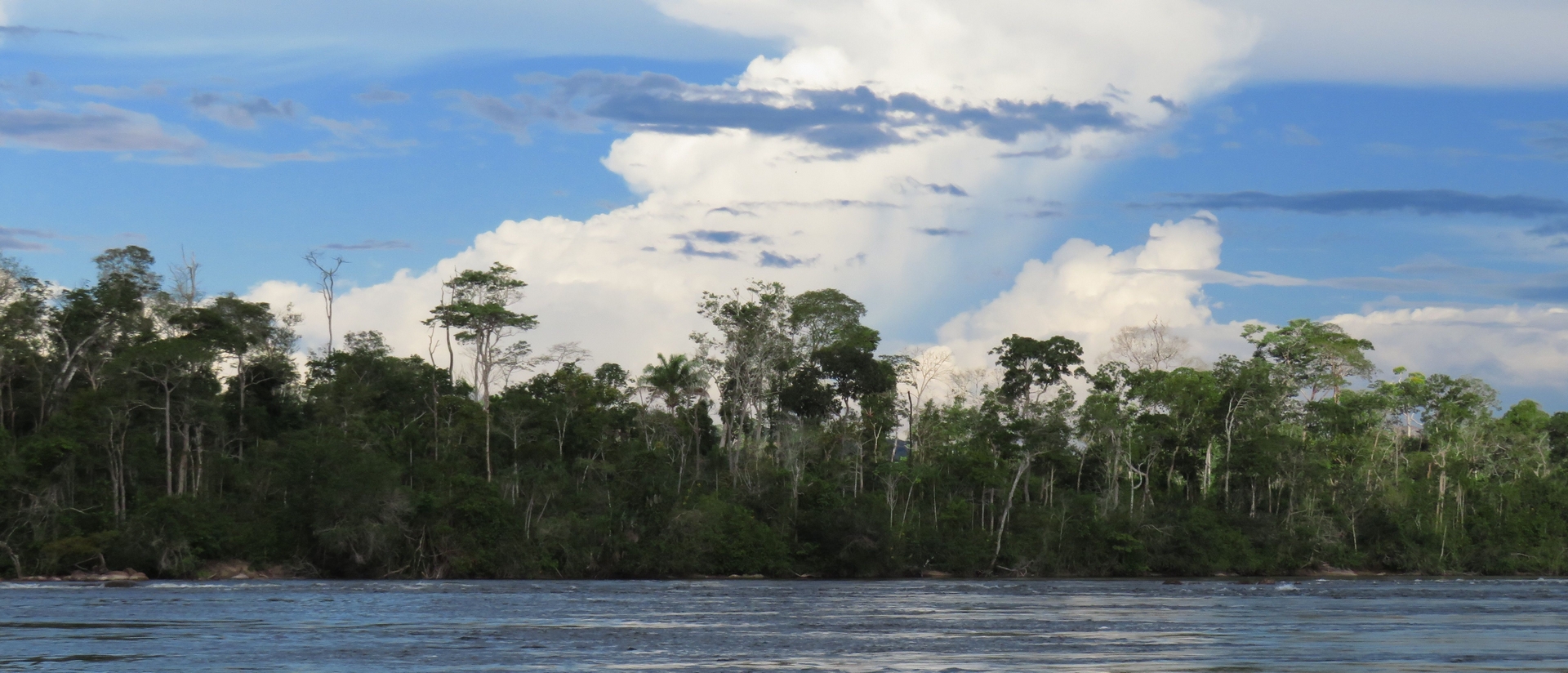 Forêt de l'Amazonie Brésilienne | AdC 