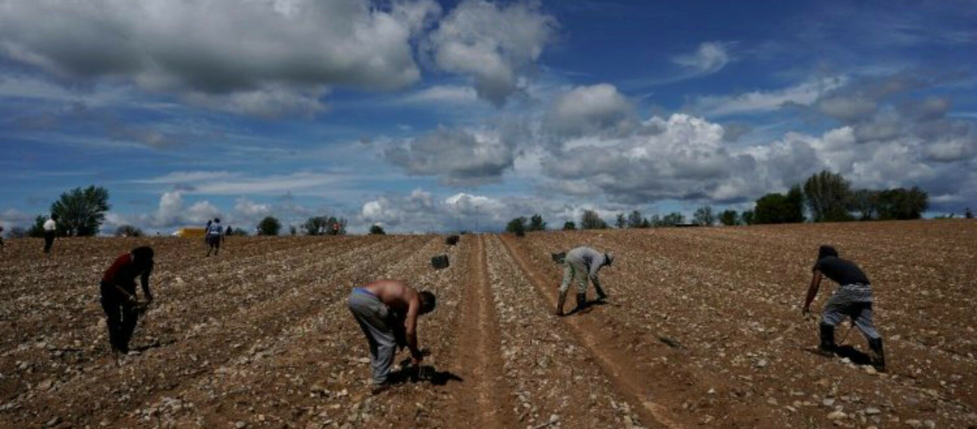 Ouvriers agricoles dans la campagne espagnole  | © Vatican Media