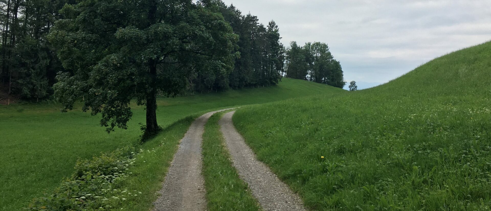 Le Chemin de Compostelle vers Rapperswill | © Emmanuel Tagnard