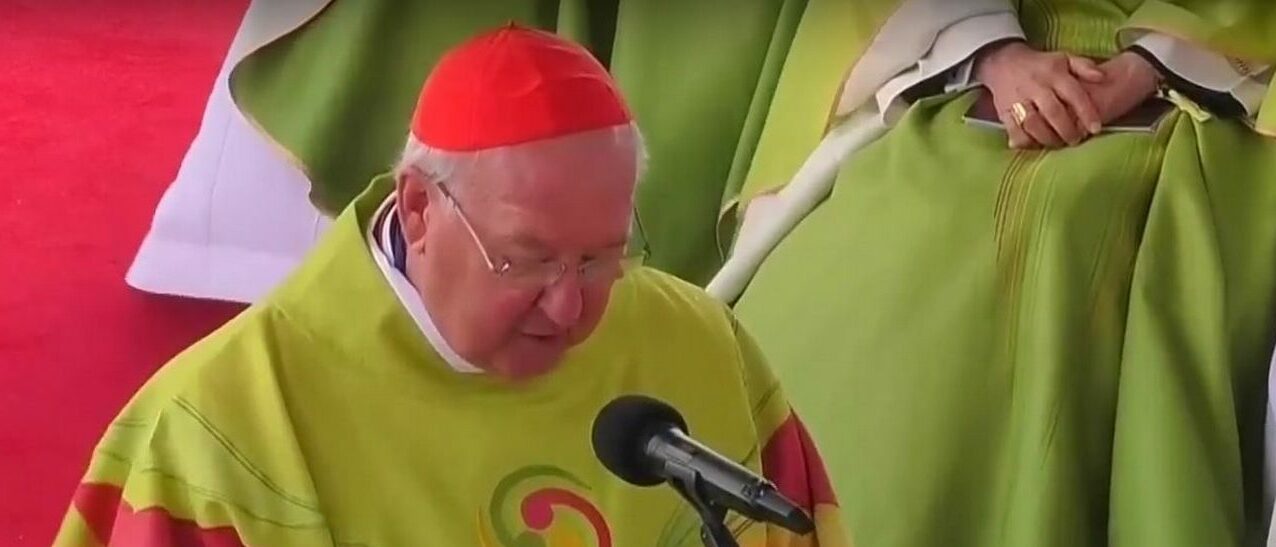 Le cardinal Kevin Farrell a ordonné la mise sous tutelle des Memores domini | capture d'écran Vatican Media