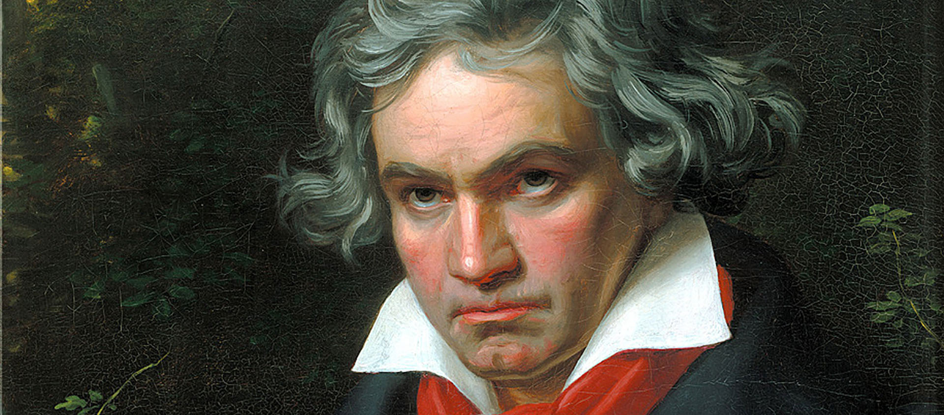 Ludwig van Beethoven était une personnalité complexe | Domaine public