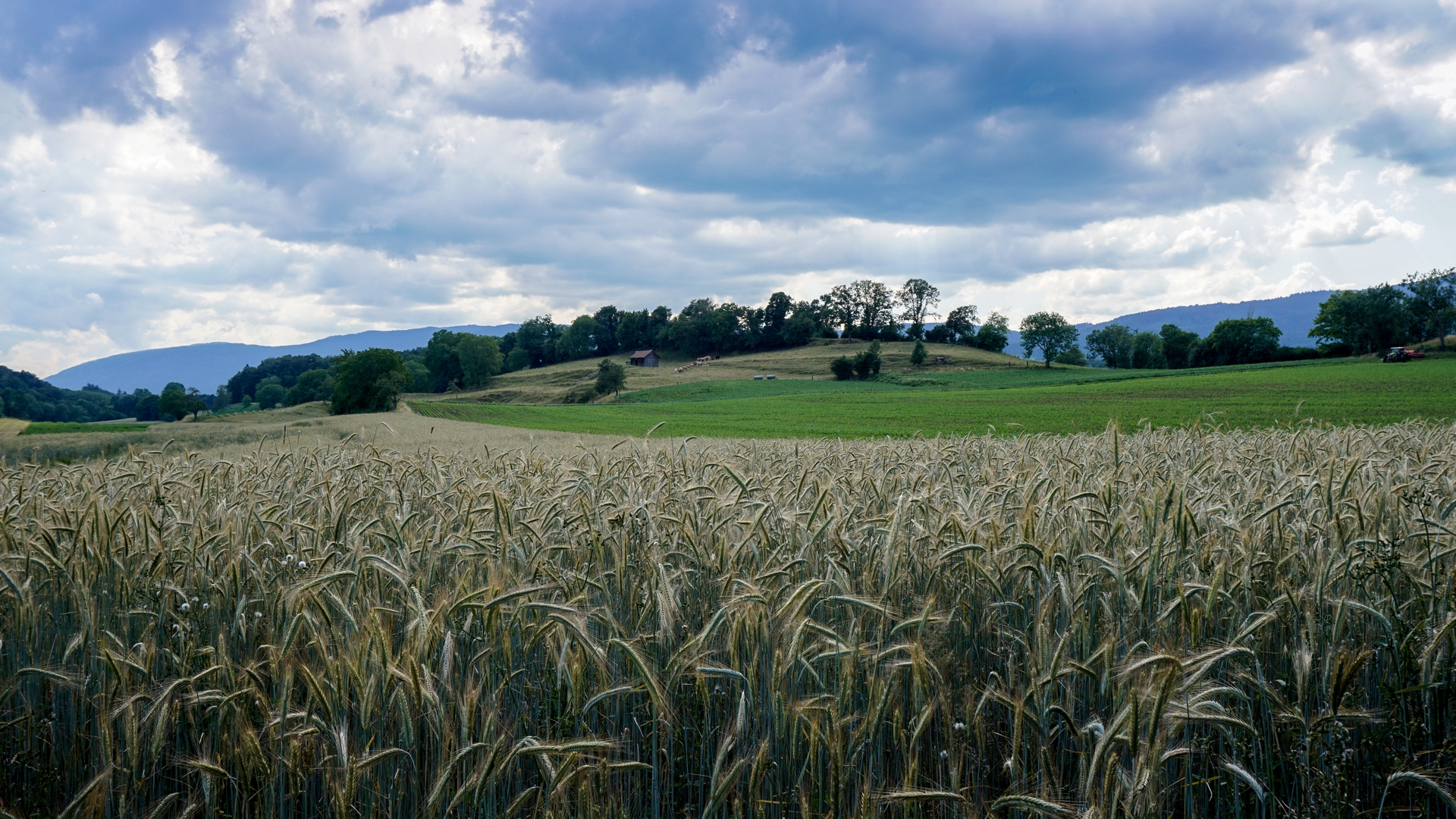 Le 'Réseau Laudato si' entend mieux coordonner les efforts, afin de réaliser les postulats de l’encyclique du pape François au Tessin | © Maurice Page 