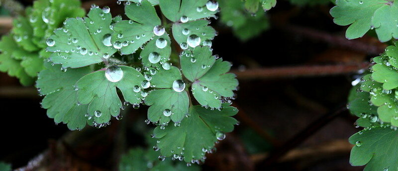 Du 1er septembre au 4 octobre, les chrétiens célèbrent la Création | © Liz West/Flickr/CC BY 2.0