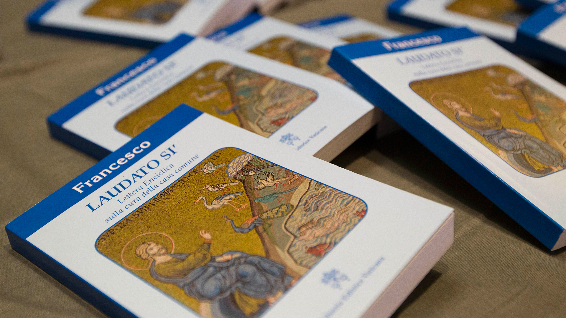 Le pape François a publié l'encyclique Laudato si' en 2015 | © cath.ch
