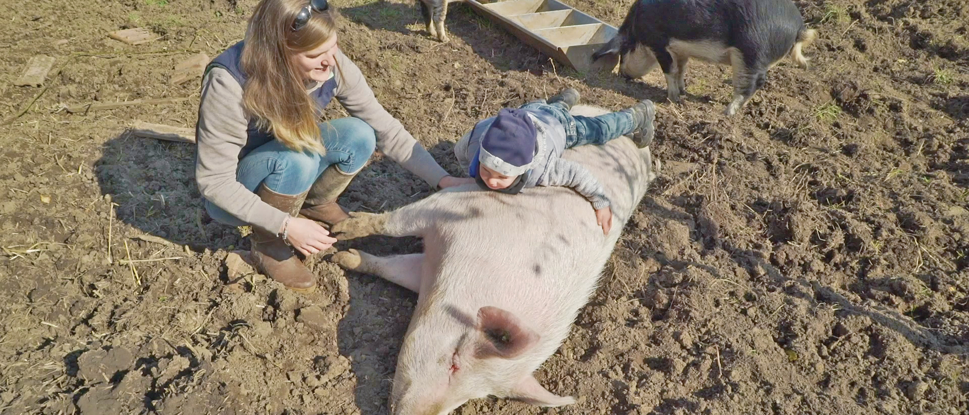 A la ferme ferme bio à Cernier (NE) | © Raphaël Zbinden