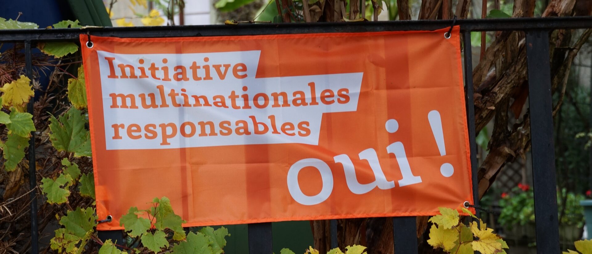 L'initiative "multinationales responsables n'a pas réussi à obtenir une majorité des cantons  | © Maurice Page