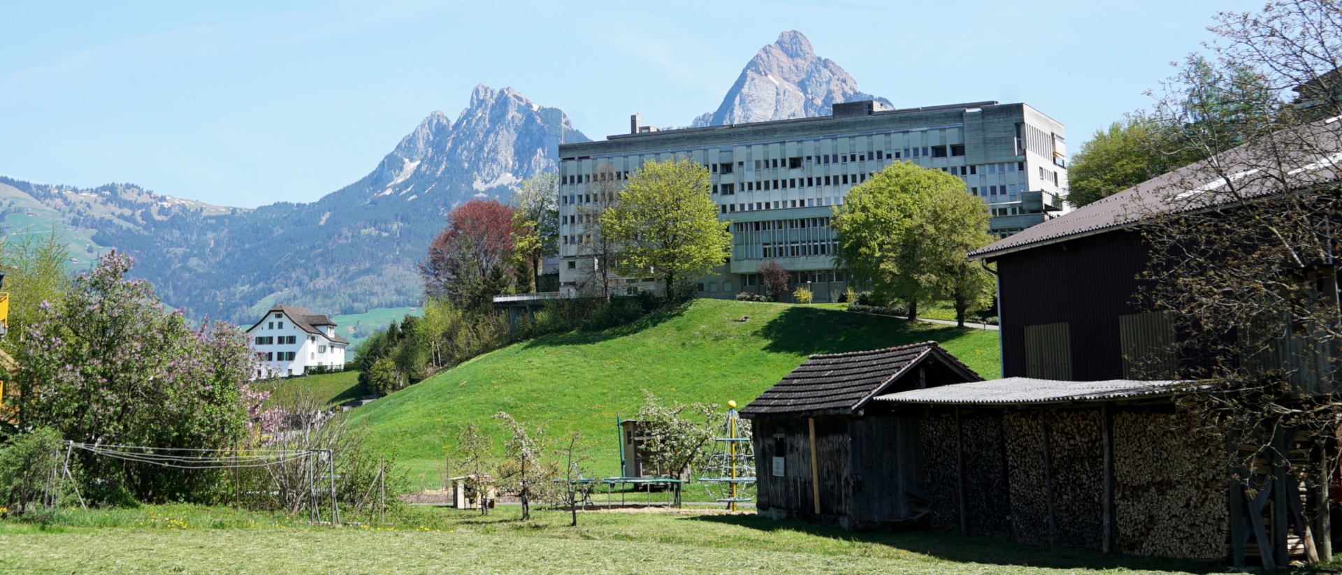 La colline d'Ingenbohl dans la commune de Brunnen, avec les deux Mythen en arrière-fond | © Vera Rüttimann