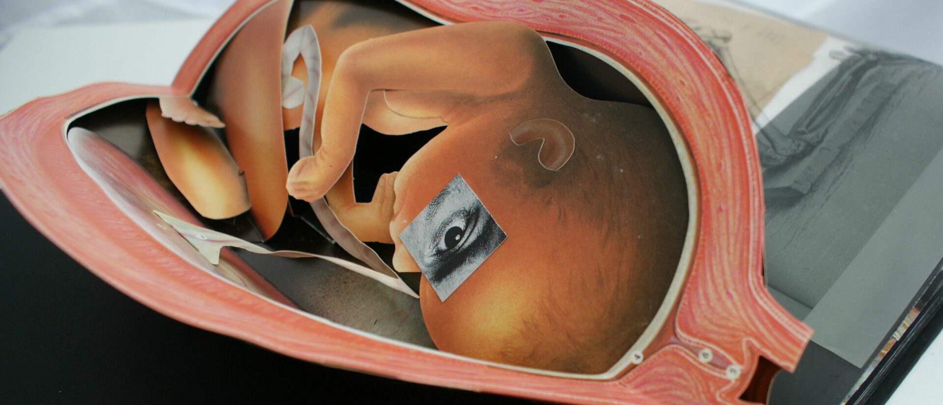 Oeuvre d'art sur l'avortement | © Don Urban/Flickr/CC BY-NC 2.0