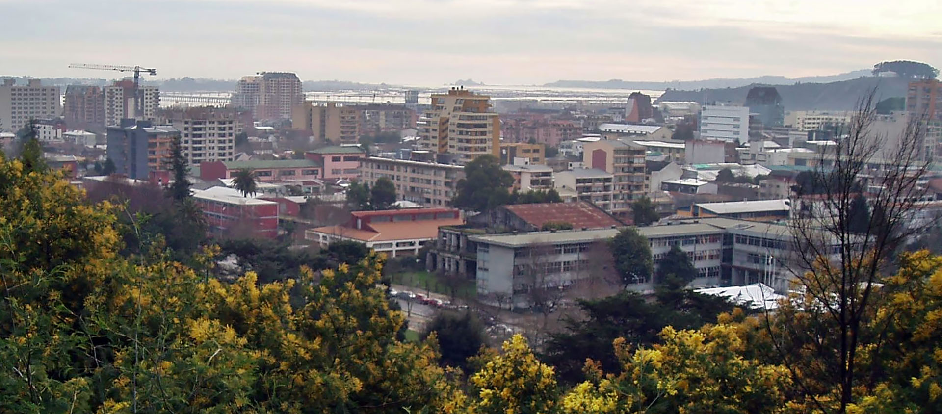 L'archevêque de Concepción a béni la population de la ville depuis un avion | © Wikimedia/Paul T.J. Edmonds