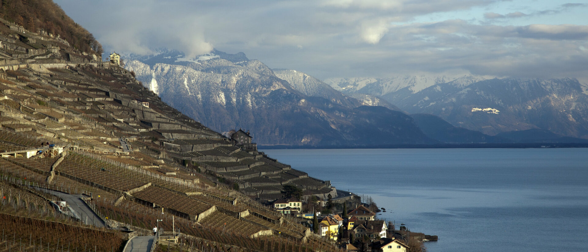 Paysage de Lavaux à la fin de l'hiver | © kosala bandara/Flickr/CC BY 2.0