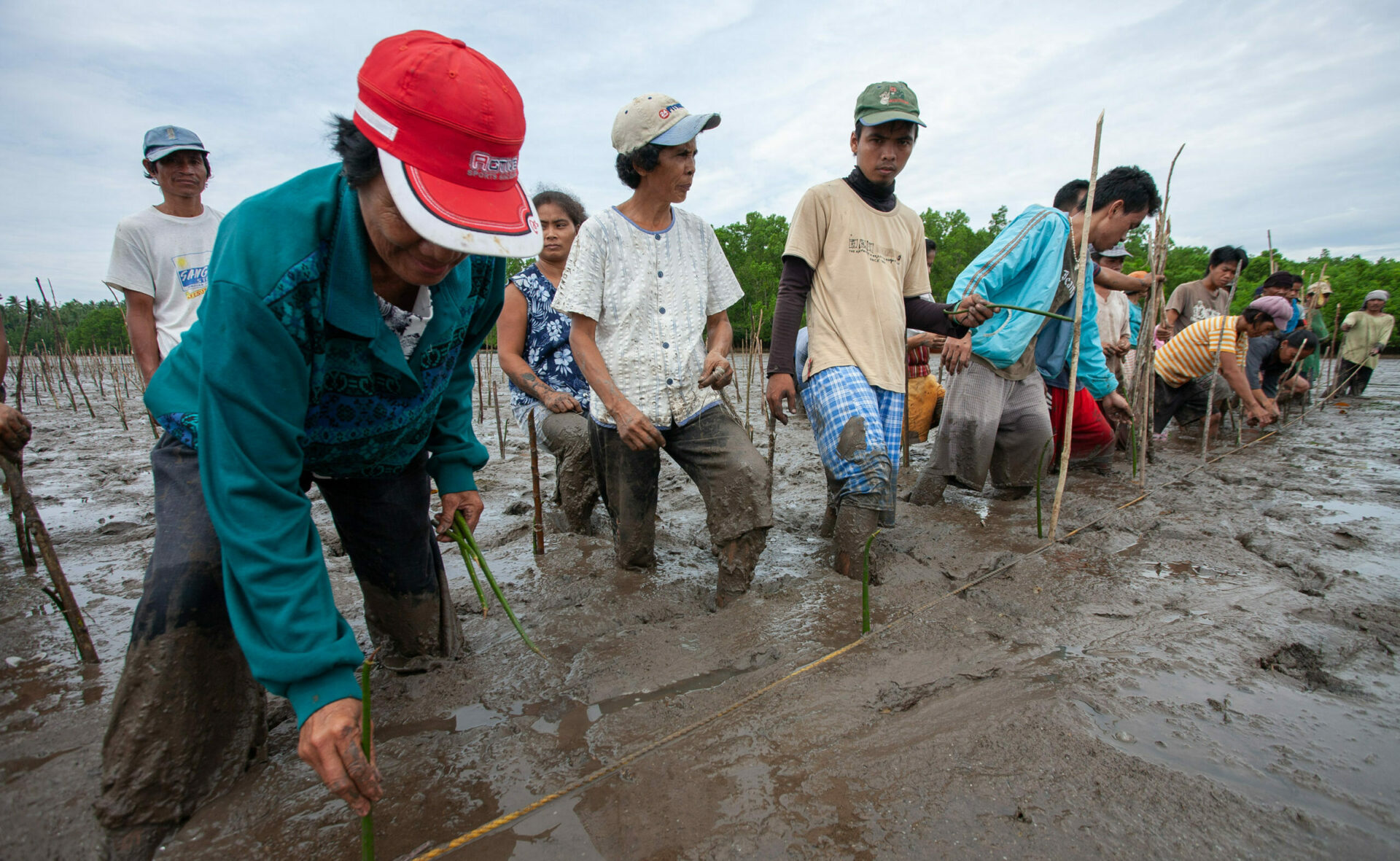Campagne de Carême: sensibilisation de l'impact climatique aux Philippines | © CERD, Action de Carême, Replantation d'une mangrove