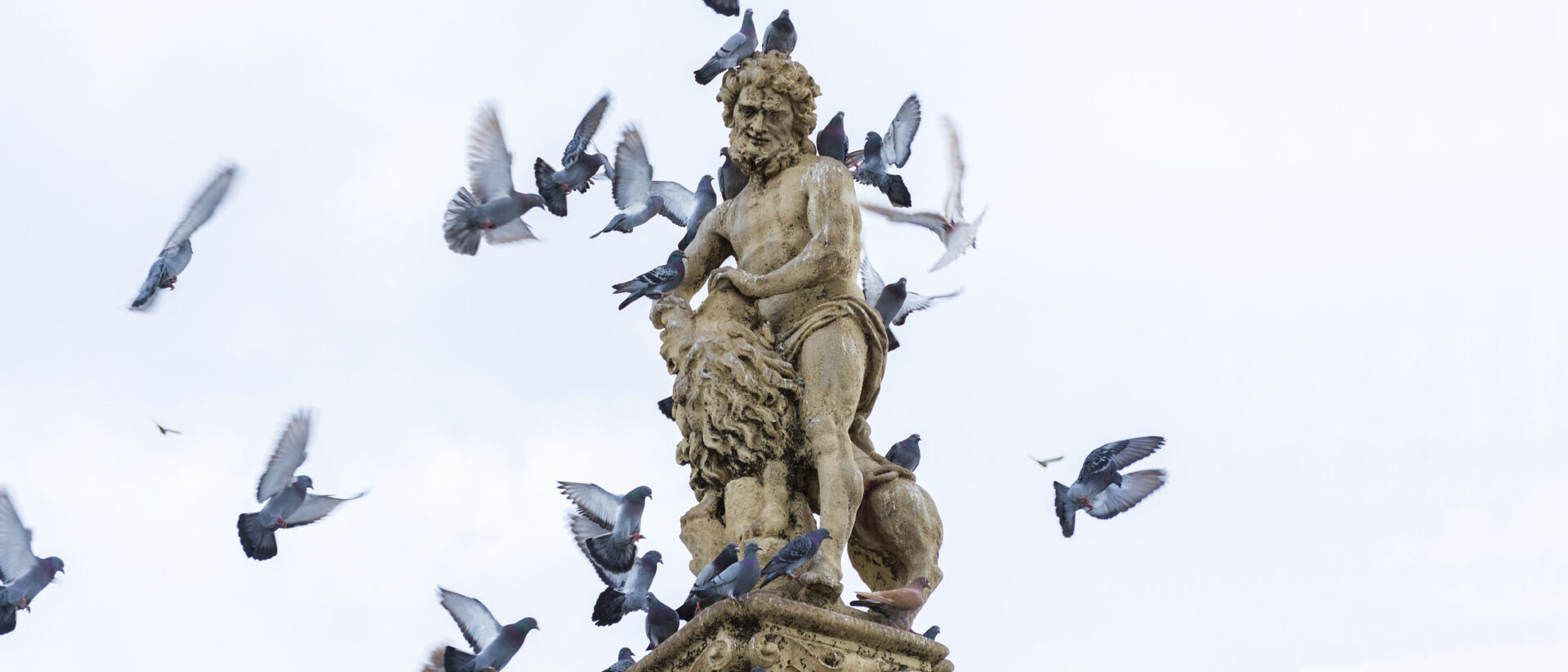 Samson, représenté sur la fontaine de la place centrale de České Budějovice, en Pologne | © Pixabay - Adam3141