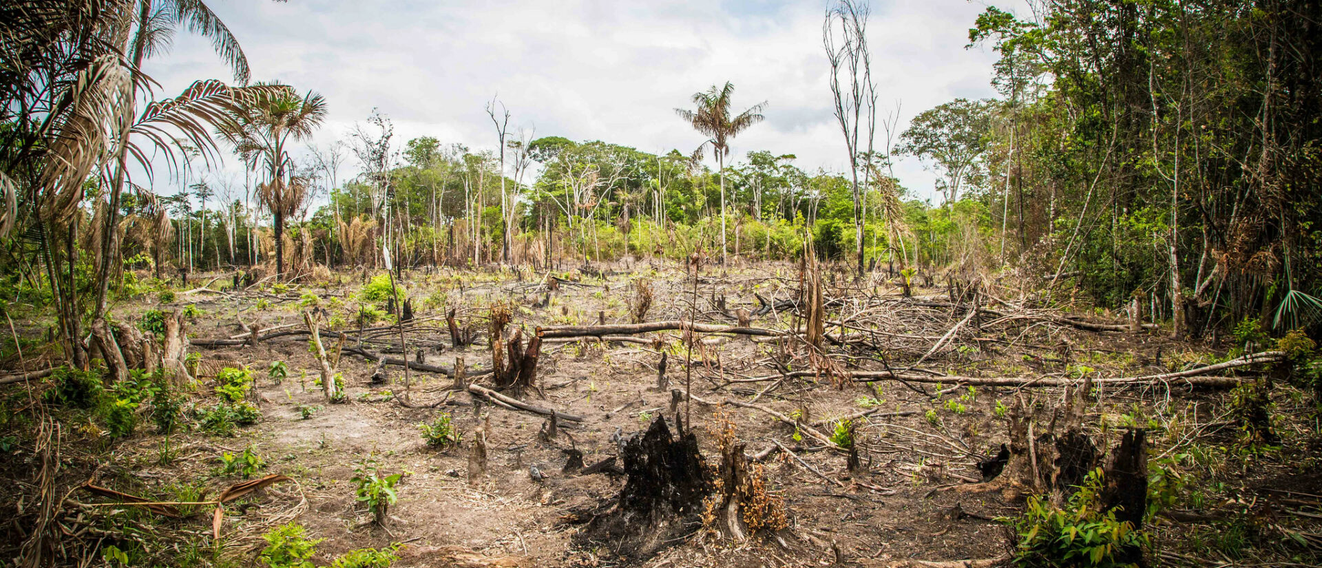 La déforestation au Brésil se poursuit à un rythme effréné | © CIFOR/Flickr/CC BY-NC-ND 2.0