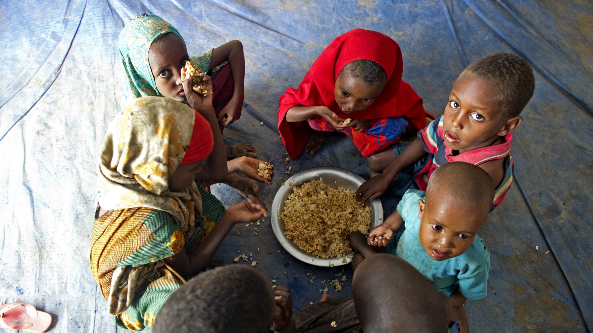 La première conférence en ligne pour préparer le sommet 2021 met notamment en avant le rôle des femmes dans l'élaboration de systèmes alimentaires résilients | © UN Photos/Flickr/CC BY-NC-ND 2.0