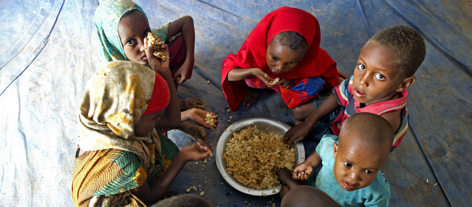 "De puissants intérêts économiques empêchent la conception d’un système alimentaire qui réponde aux valeurs du bien commun", dénonce la pape | © UN Photos/Flickr/CC BY-NC-ND 2.0