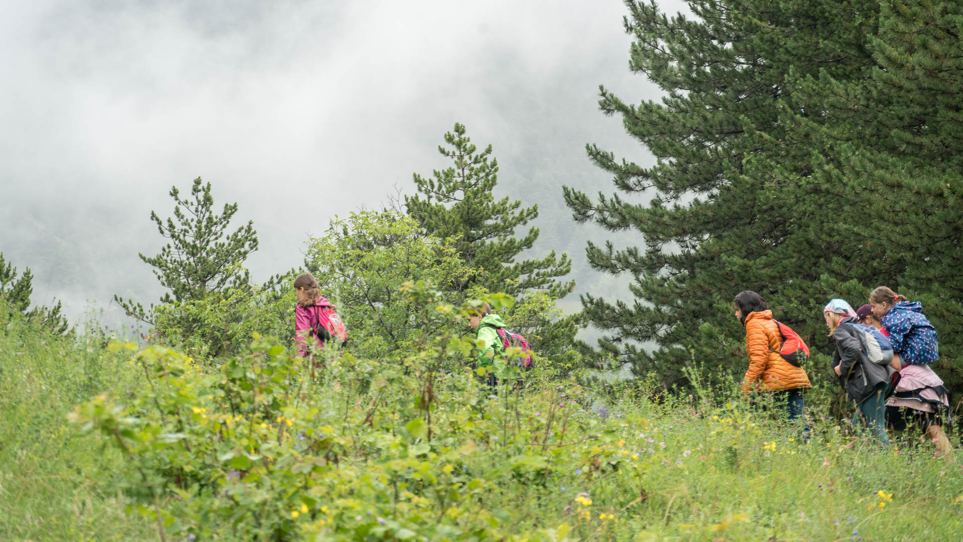 La nature sous la pluie est d'autant plus belle | © Maurice Page 