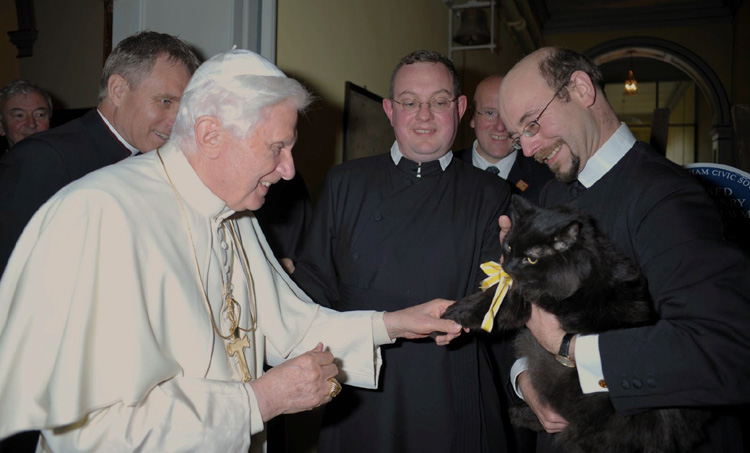 Benoît XVI sait parler aux chats | DR