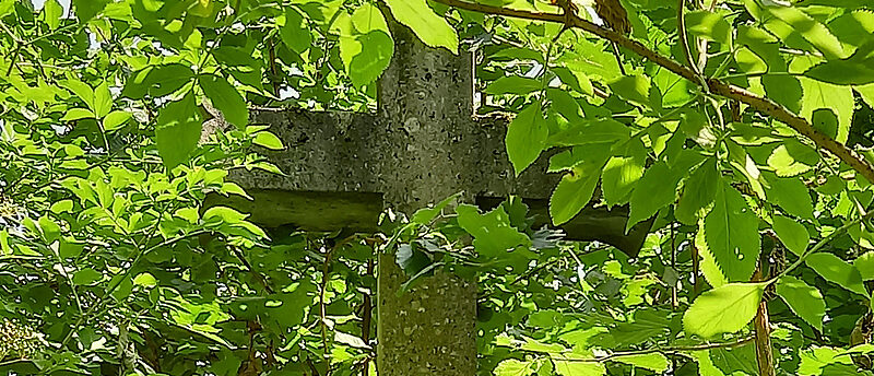 La croix sur le site de l’ancienne abbaye prémontrée d’Humilimont | © Madeleine Clavijo/dominicain.ch