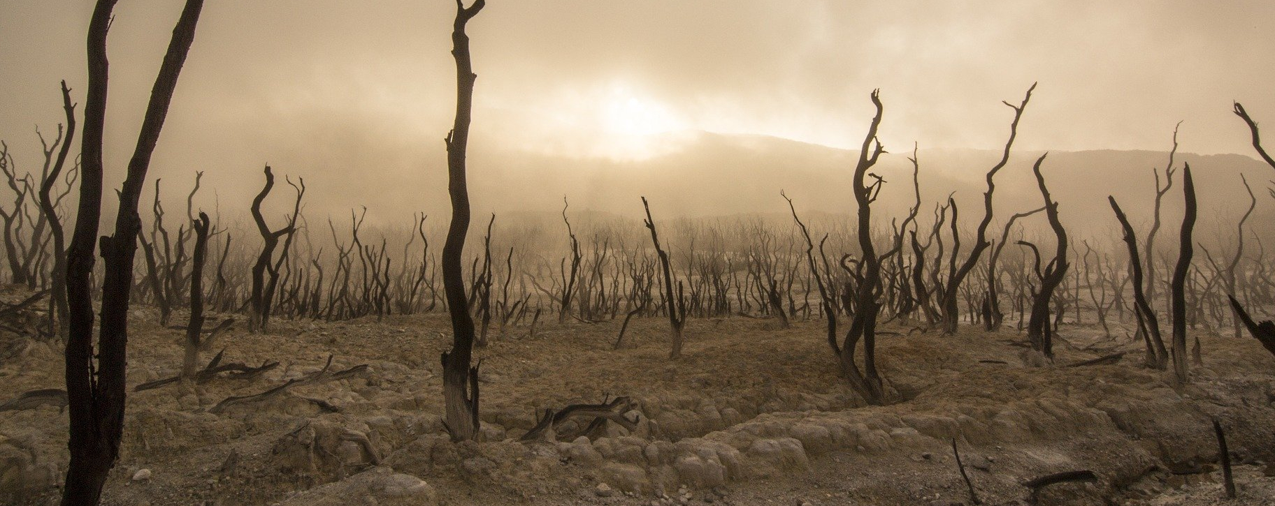 En 2021, des millions d'hectares de forêt ont brûlé à cause de sécheresses extrêmes dans diverses régions du Globe | photo d'illustration © Pixabay