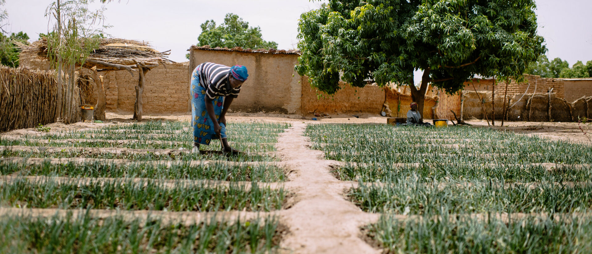 Pour Caritas Suisse, la lutte contre la faim passe par une agriculture plus équitable | photo d'illustration © CIFOR/Flickr/CC BY-NC-ND 2.0