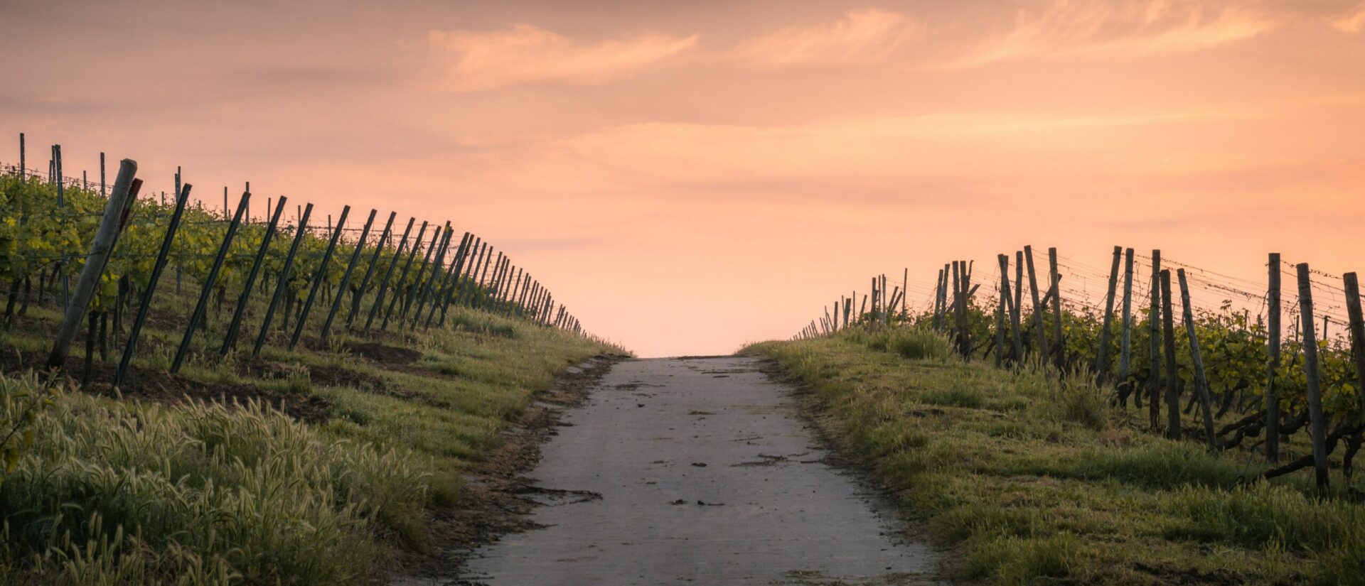 Le chemin synodal nous mènera-t-il vers une nouvelle aube? | © Karsten Würth/Unsplash