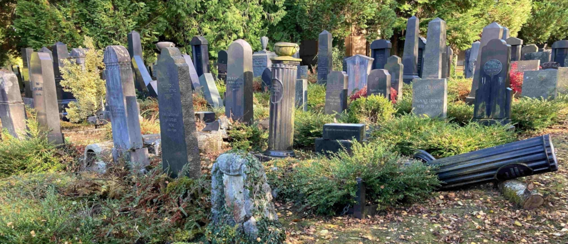 Des tombes ont été retrouvées renversées dans le nouveau cimetière juif de Saint-Gall | © Police cantonal de Saint-Gall