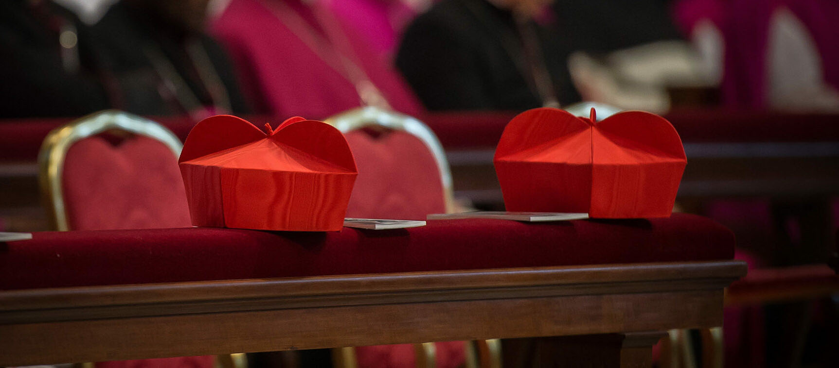 Le Conseil des cardinaux s'est réuni autour du pape pour préparer la convocation du sacré collège, prévue fin août | DR