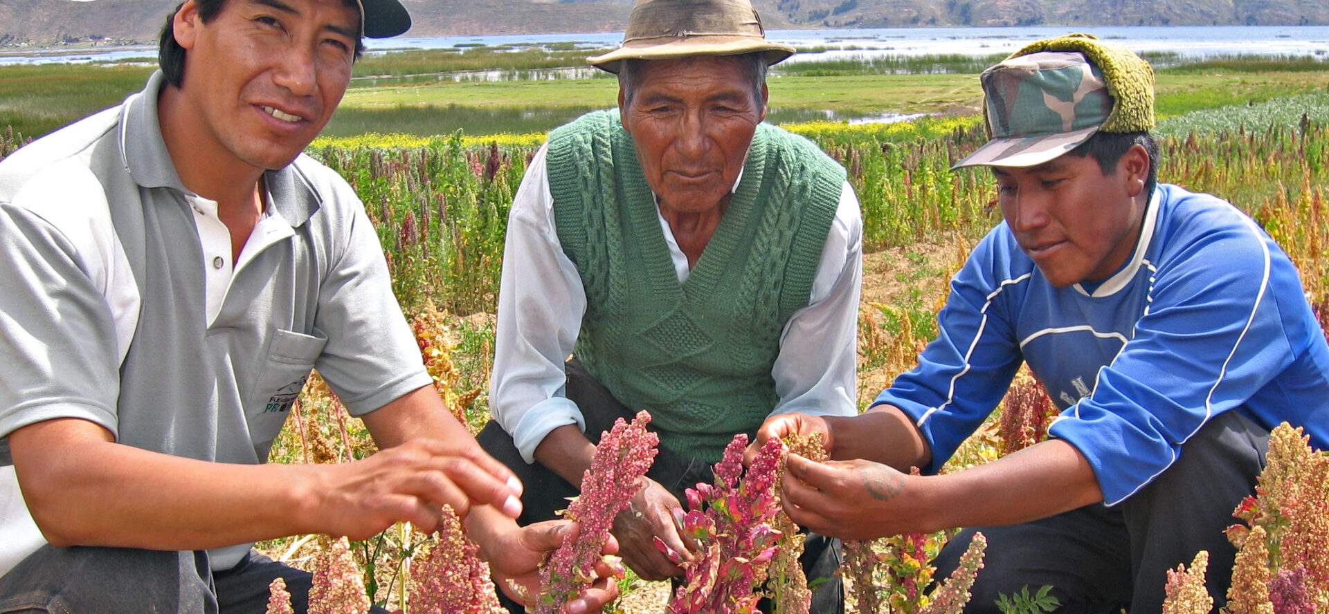 La Fondation Populorum Progressio finance des projets de développements en Amérique du Sud | photo d'illustration © Biodiversity International/Flickr/CC BY-NC-ND 2.0